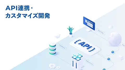 API連携・カスタマイズ開発資料ダウンロード